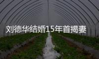 刘德华结婚15年首揭妻子真名 朱丽蒨个人资料简介