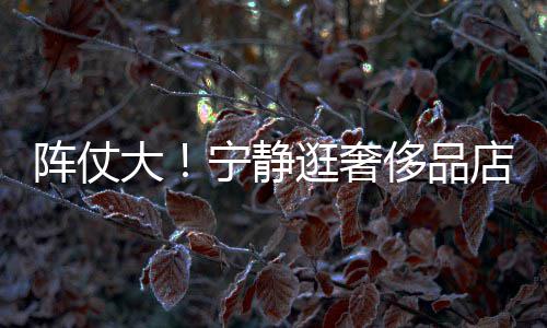 宁静逛奢侈品还有大店 帮拿包3人阵仗专人陪同