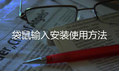 袋鼠输入使用方法安装